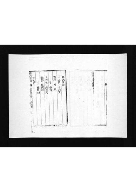 8481.盆泉魏氏族谱 [不分卷](别名：Penquan Wei Shi Zu Pu、魏氏族谱).pdf电子版预览图3