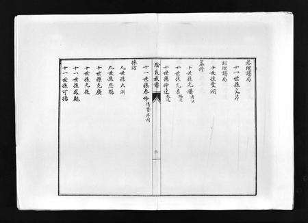 9860.阴氏族谱 [不分卷](别名：Yin Shi Zu Pu、阴氏族谱).pdf电子版预览图3