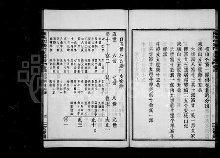 4032.西墙门支陈氏宗谱 [7卷](别名：陈氏西墙门支宗谱).pdf电子版预览图3