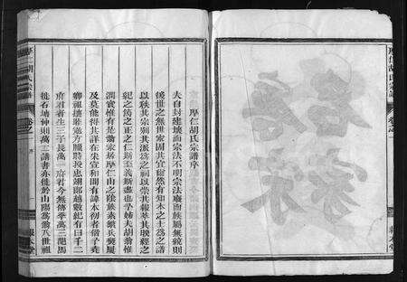 4220.厚仁胡氏宗谱 [9卷].pdf电子版预览图3