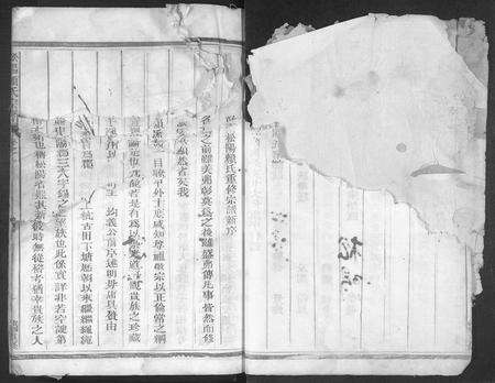 4299.松阳赖氏宗谱 [11卷].pdf电子版预览图3