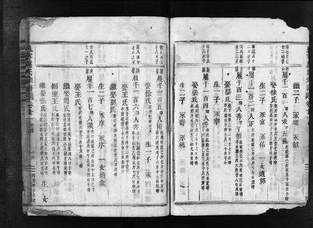 4327.吴宁厉氏宗谱 [残卷](别名：Wuning Lishi Zongpu、吴宁厉氏宗谱).pdf电子版预览图3