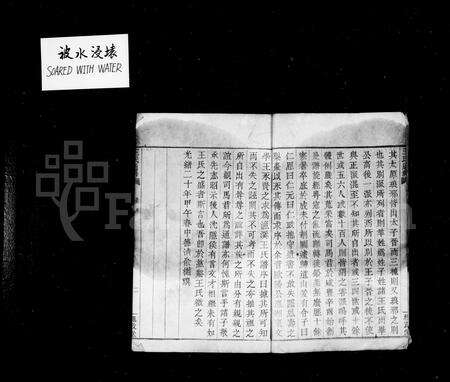 4520.王氏通谱 [106卷,首2卷].pdf电子版预览图3