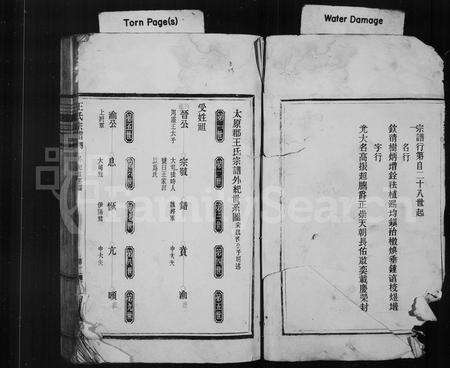 4544.王氏宗谱.pdf电子版预览图3