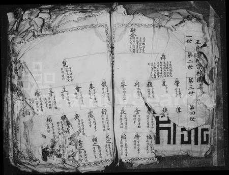 4553.国岭王氏族谱.pdf电子版预览图3