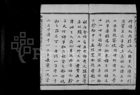 4573.中南王氏宗谱 [12卷,首1卷].pdf电子版预览图3