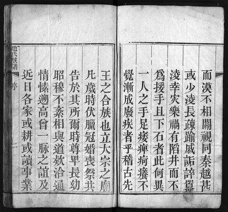 11044.赵氏族谱 [不分卷](别名：景芝赵氏族谱、Zhao Shi Zu Pu、赵氏族谱).pdf电子版预览图3