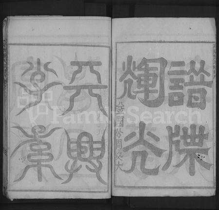 4749.荷塘叶氏宗谱 [5卷].pdf电子版预览图3