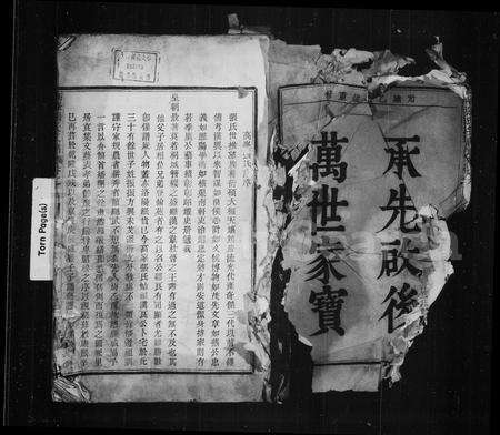 4809.高峰张氏宗谱 ： [6卷].pdf电子版预览图3