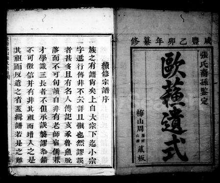 4822.暨阳张氏宗谱 [12卷](别名：暨阳嵩山张氏宗谱).pdf电子版预览图3
