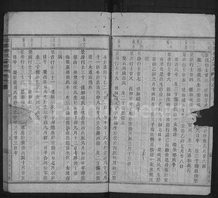 4839.浦阳赵氏宗谱 [残卷](别名：浦阳赵氏宗谱).pdf电子版预览图3