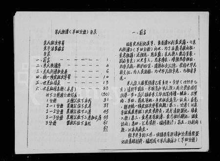 11527.朱氏族谱 ： 羊田分册.pdf电子版预览图3