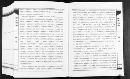 山东薄氏-薄氏族谱[不分卷].pdf电子版预览图4