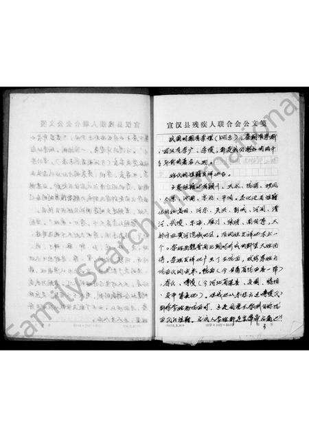 3251.李氏志谱 ： 初稿.pdf电子版预览图4