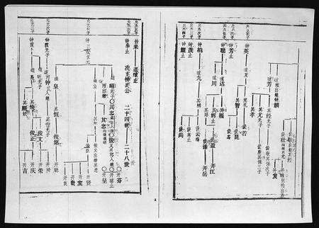 3742.廖氏族谱 [残卷](别名：Liao Shi Zu Pu、廖氏族谱).pdf电子版预览图4