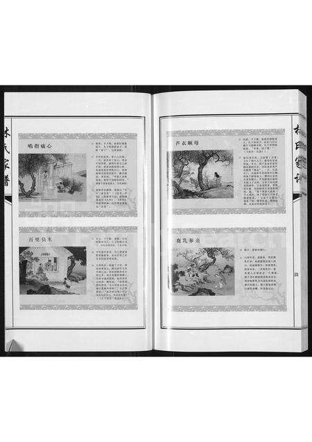 3782.林氏家谱 ： 靖西县荣劳街双桂堂(别名：林氏家谱).pdf电子版预览图4