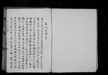 6427.王氏族谱 [35卷](别名：王氏世谱、新城王氏世谱).pdf电子版预览图4