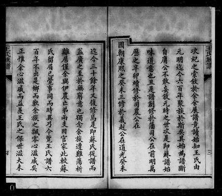 6692.宁晋王氏族谱 ： [10卷](别名：王氏族谱).pdf电子版预览图4