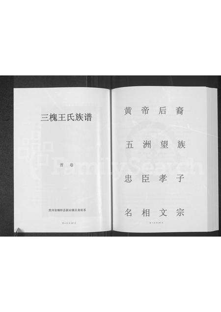6849.桐梓县新站镇艮斋祖系三槐王氏族谱 ： 第二房增补册 (仁怀市茅台镇上坪村承禄祖支).pdf电子版预览图4
