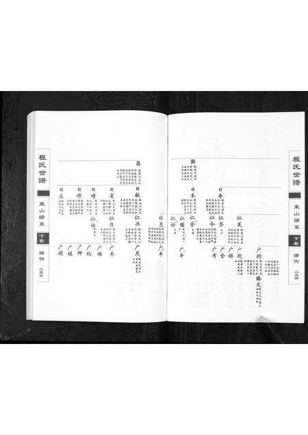 0771.程氏世谱海阳东山谱系[上中下卷](别名：Cheng Shi Shi Pu Hai Yang Dong Shan Pu Xi、程氏世谱东山谱系).pdf电子版预览图4