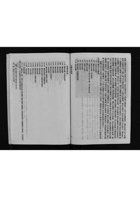 8961.萧氏家谱 [不分卷](别名：Xiao Shi Jia Pu、萧氏家谱).pdf电子版预览图4