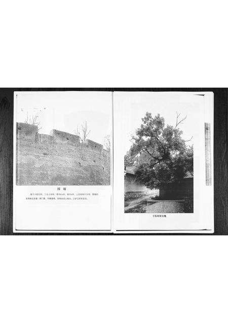 1008.丁家焦窦丁氏族谱 [1册](别名：Ding Jia Jiao Dou Ding Shi Zu Pu、丁氏族谱).pdf电子版预览图4