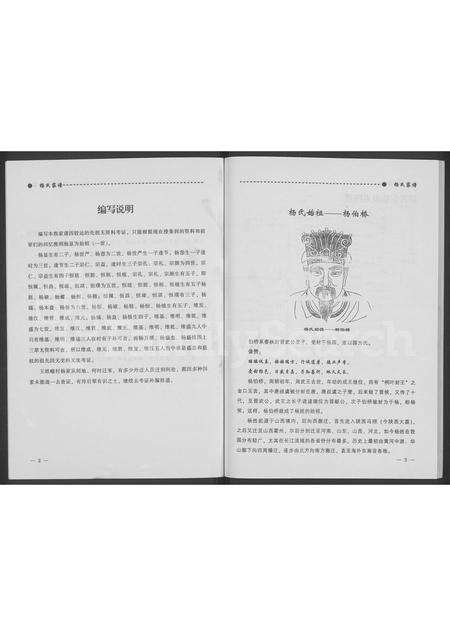 9566.杨氏家谱 ： 山西怀仁王皓疃村 [不分卷](别名：怀仁县王皓疃堡杨门世家谱、杨氏家谱).pdf电子版预览图4