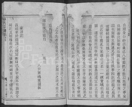 4036.陈氏宗谱 [不分卷].pdf电子版预览图4