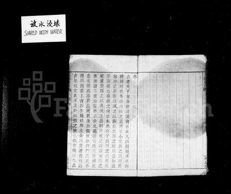 4520.王氏通谱 [106卷,首2卷].pdf电子版预览图4