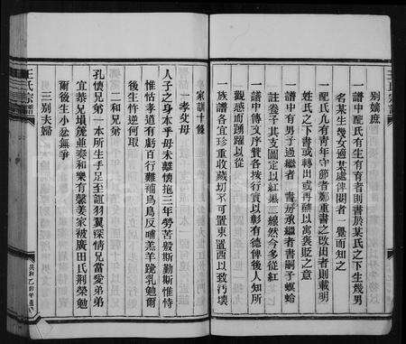 4541.王氏宗谱.pdf电子版预览图4