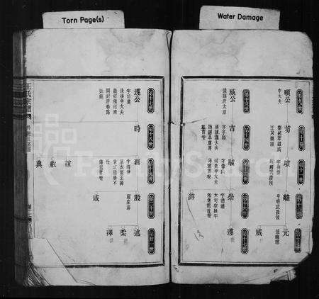 4544.王氏宗谱.pdf电子版预览图4