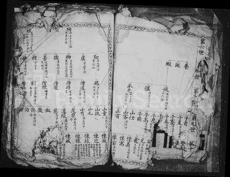 4553.国岭王氏族谱.pdf电子版预览图4