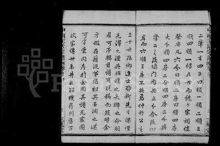 4573.中南王氏宗谱 [12卷,首1卷].pdf电子版预览图4