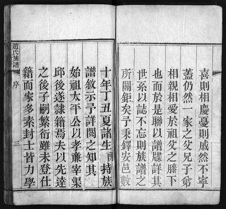 11044.赵氏族谱 [不分卷](别名：景芝赵氏族谱、Zhao Shi Zu Pu、赵氏族谱).pdf电子版预览图4