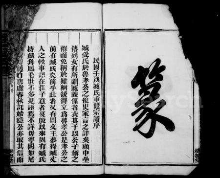 4785.分阳臧氏宗谱 ： [12卷].pdf电子版预览图4
