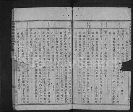 4839.浦阳赵氏宗谱 [残卷](别名：浦阳赵氏宗谱).pdf电子版预览图4