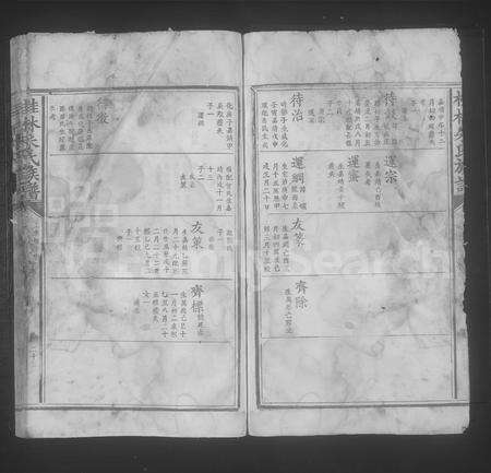 4889.桂林朱氏族谱 [不分卷].pdf电子版预览图4