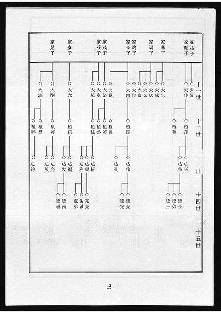 11702.海南竺氏族谱 [4卷,首1卷](别名：Hai Nan Zhu Shi Zu Pu、海南竺氏族谱).pdf电子版预览图4
