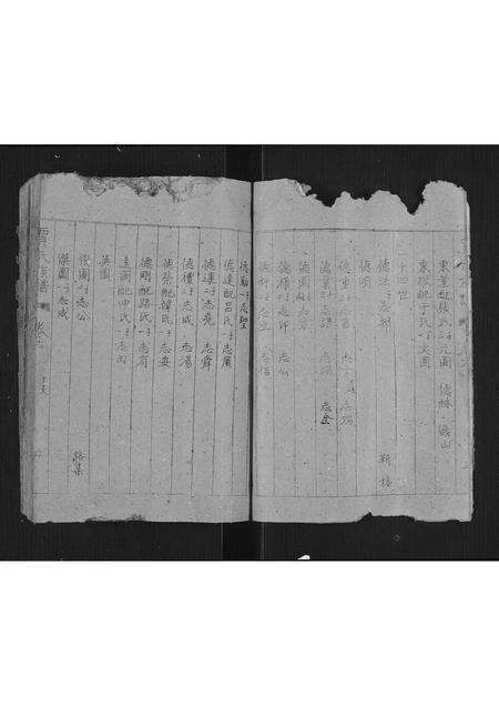 2762.贾氏族谱[卷数不详](别名：Jia Shi Zu Pu、贾氏族谱).pdf电子版预览图4