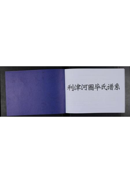 山东毕氏-利津河圈毕氏谱系 [不分卷].pdf电子版预览图1