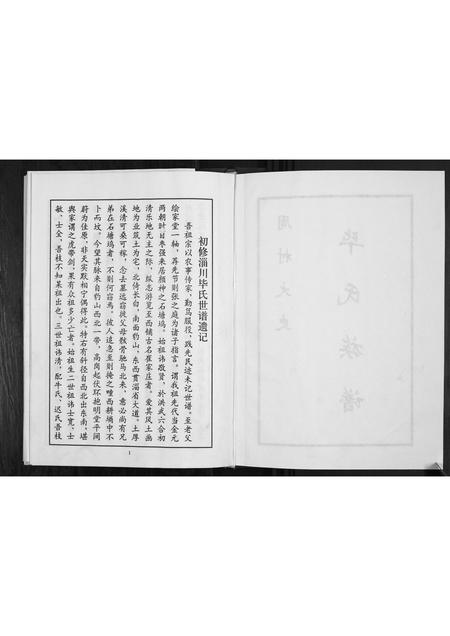 山东毕氏-周村大史毕氏族谱.pdf电子版预览图2