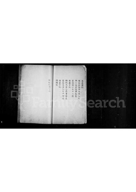 0229.曾氏家乘略 ： [2卷].pdf电子版预览图5