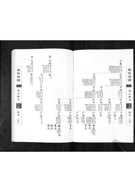 0771.程氏世谱海阳东山谱系[上中下卷](别名：Cheng Shi Shi Pu Hai Yang Dong Shan Pu Xi、程氏世谱东山谱系).pdf电子版预览图5