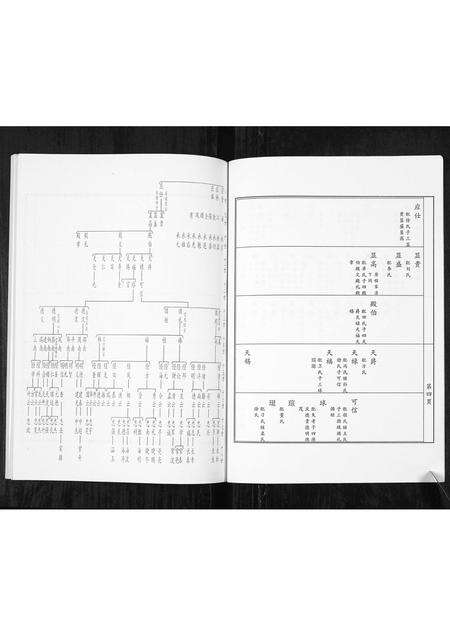 8590.福谨公吴氏族谱 [1册](别名：Fu Jin Gong Wu Shi Zu Pu、福谨公吴氏族谱).pdf电子版预览图5