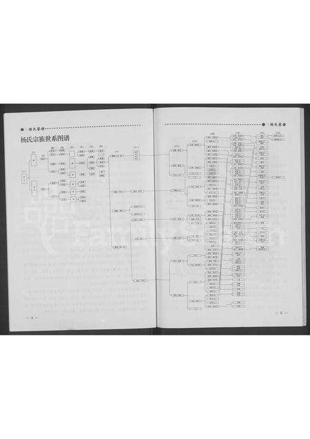 9566.杨氏家谱 ： 山西怀仁王皓疃村 [不分卷](别名：怀仁县王皓疃堡杨门世家谱、杨氏家谱).pdf电子版预览图5