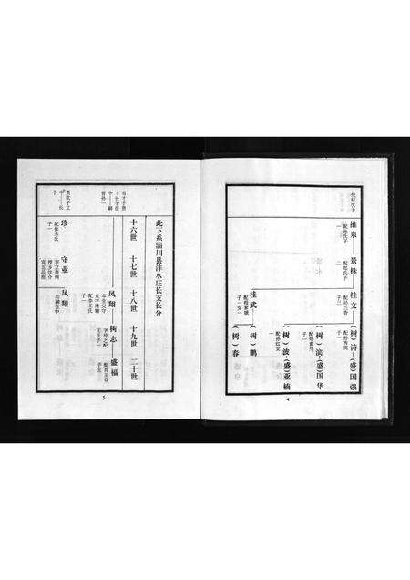 10366.张氏世谱 [2卷](别名：Zhang Shi Shi Pu、张氏世谱).pdf电子版预览图5