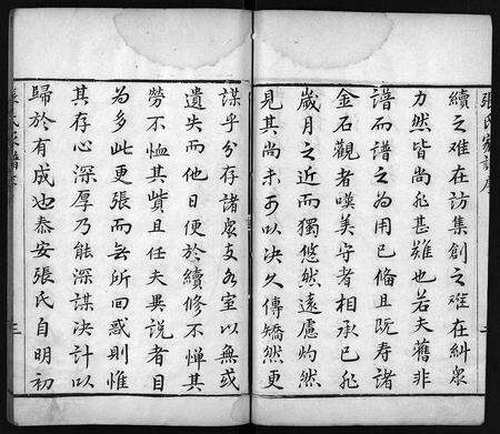 10377.张氏家谱 [上函11卷,含卷首,下函12卷](别名：张氏谱书、泰安张氏家谱、Zhang Shi Jia Pu、张氏家谱).pdf电子版预览图5