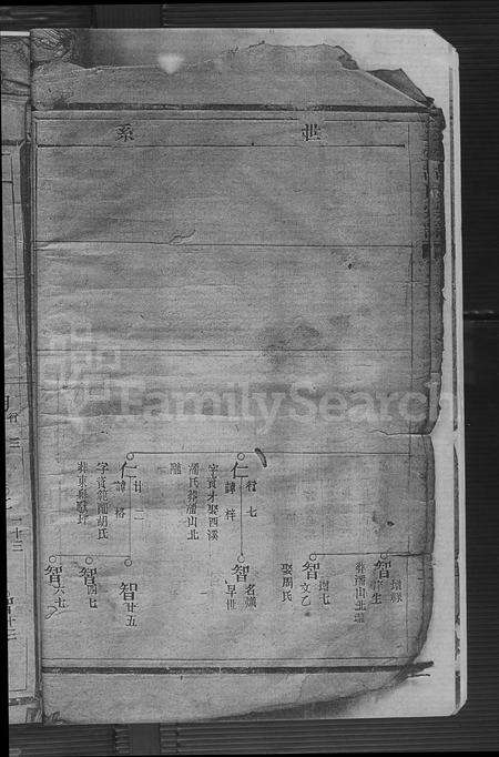 4213.玉壶胡氏宗谱(别名：胡氏宗谱、胡氏族谱).pdf电子版预览图5