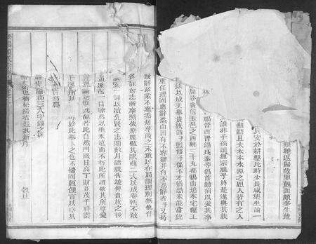 4299.松阳赖氏宗谱 [11卷].pdf电子版预览图5