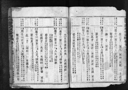 4327.吴宁厉氏宗谱 [残卷](别名：Wuning Lishi Zongpu、吴宁厉氏宗谱).pdf电子版预览图5